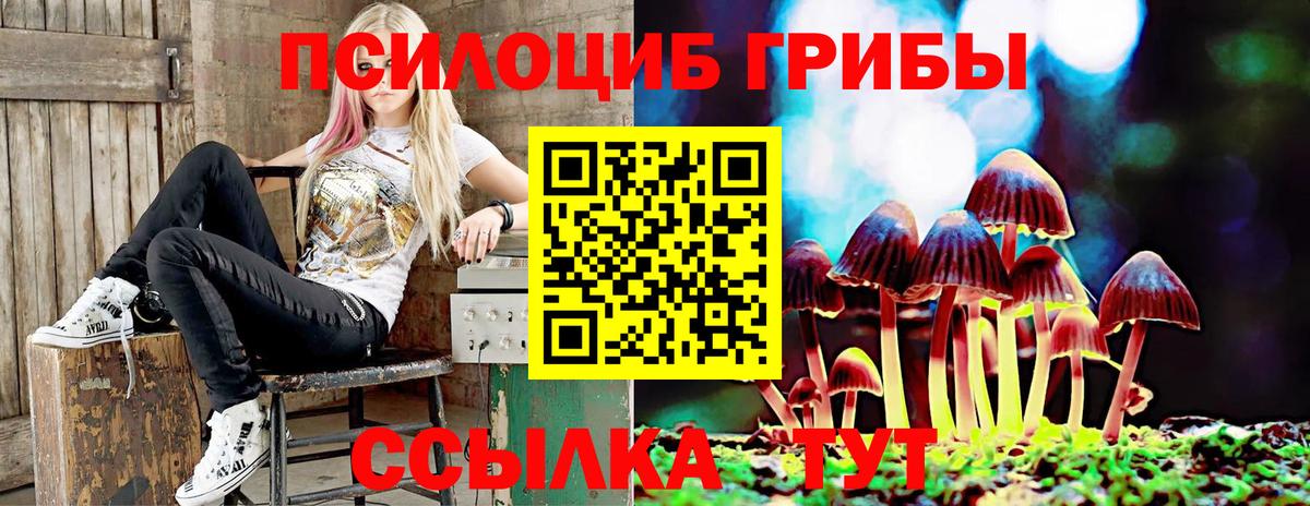 Галлюциногенные грибы прущие грибы  Галлюциногенные грибы Psilocybe  Прокопьевск  Вход с VPN 